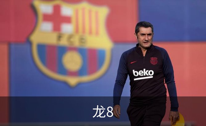 了解龙8